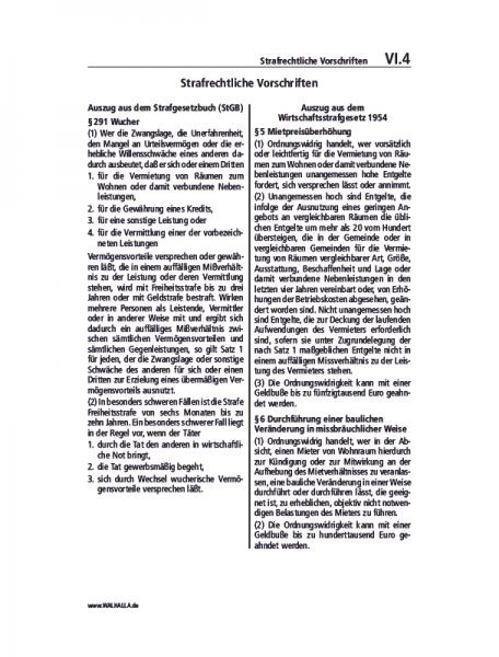VI.04 | Strafrechtliche Vorschriften