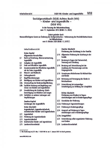 VIII | SGB VIII: Kinder- und Jugendhilfe