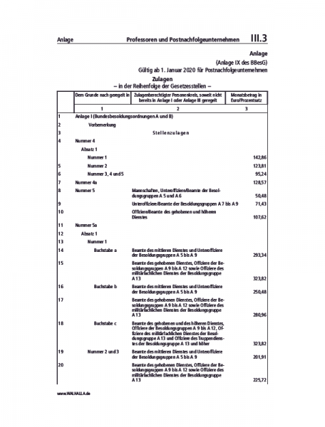 III.03 Anlage IX | Professoren und Postnachfolgeunternehmen