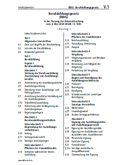 V.01 | BBiG: Berufsbildungsgesetz (Auszug)