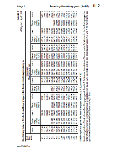 III.02 | Besoldungsüberleitungsgesetz (BesÜG)