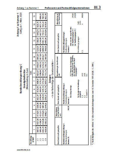 III.03. Anlage 1 zu Nummer 1 | Professoren und Postnachfolgeunternehmen