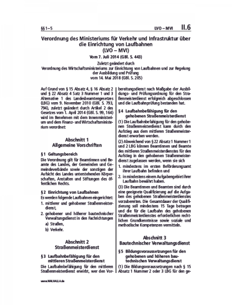 II.06 | LVO – MVI